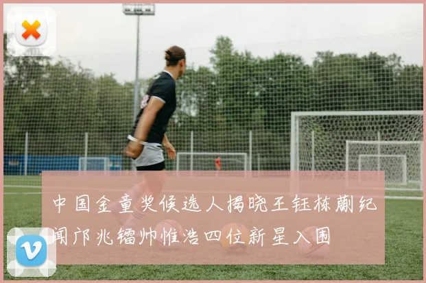 回顾波兰队2014年世界杯之旅：实力与运气的双重缺失