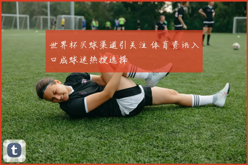 世界杯买球渠道引关注 体育资讯入口成球迷热搜选择