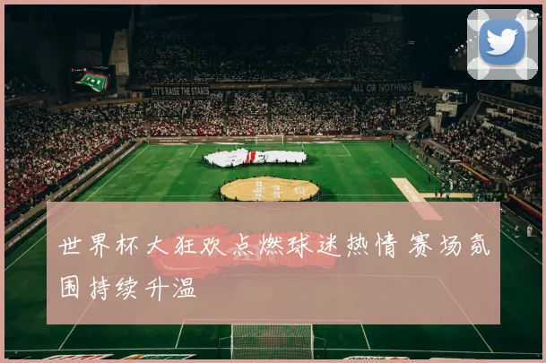 世界杯大狂欢点燃球迷热情 赛场氛围持续升温