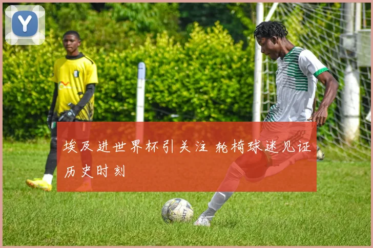 埃及进世界杯引关注 轮椅球迷见证历史时刻