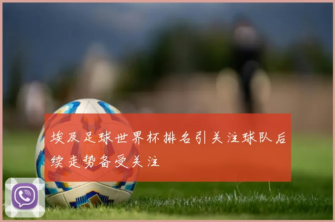 埃及足球世界杯排名引关注球队后续走势备受关注